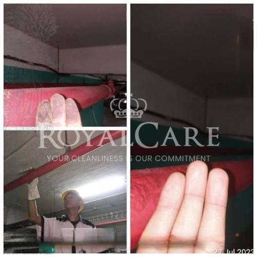 20230729_091552-Photoroom