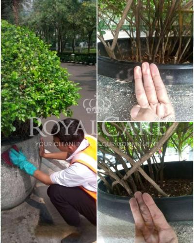 Picsart_23-05-31_17-38-40-875-Photoroom