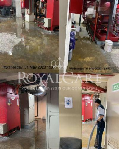 Picsart_23-06-02_16-51-41-766-Photoroom