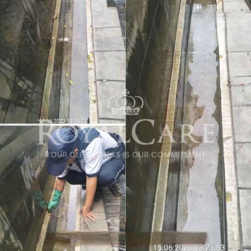 Picsart_23-06-15_16-09-48-389-Photoroom_56_11zon