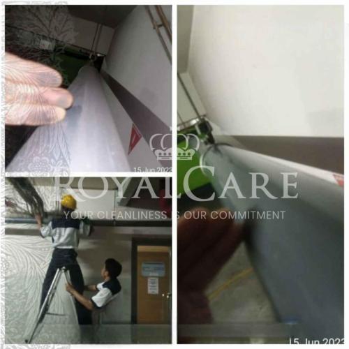 Picsart_23-06-19_17-56-25-296-Photoroom_79_11zon