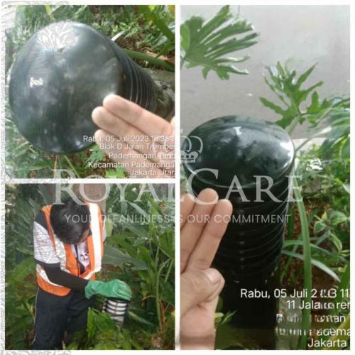 Picsart_23-07-10_15-48-42-718-Photoroom_126_11zon