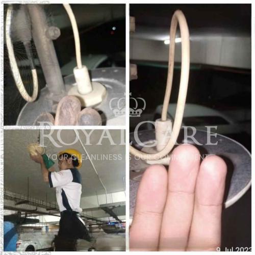 Picsart_23-07-11_18-29-43-310-Photoroom_129_11zon